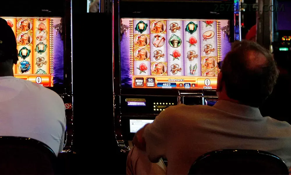 Slots 257bet - Sweet Bonanza e caça-níqueis populares